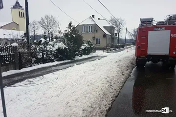 Poprzednie zdjęcie