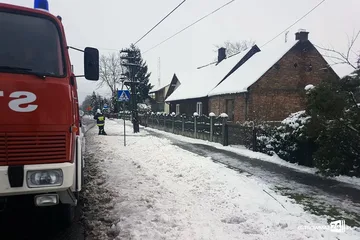 Poprzednie zdjęcie