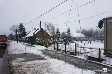 Następne zdjęcie