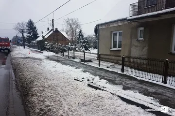 Poprzednie zdjęcie
