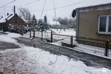 Następne zdjęcie