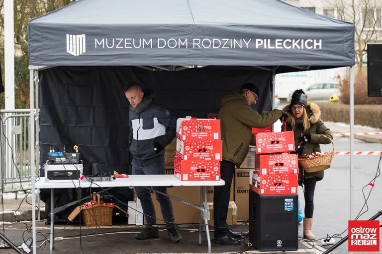 Ice Show przed ostrowskim Ratuszem (zdjęcia, wideo)