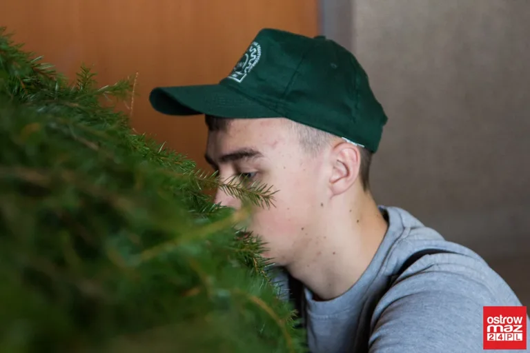 Szopka Bożonarodzeniowa w ostrowskim Rubinku (zdjęcia, wideo)