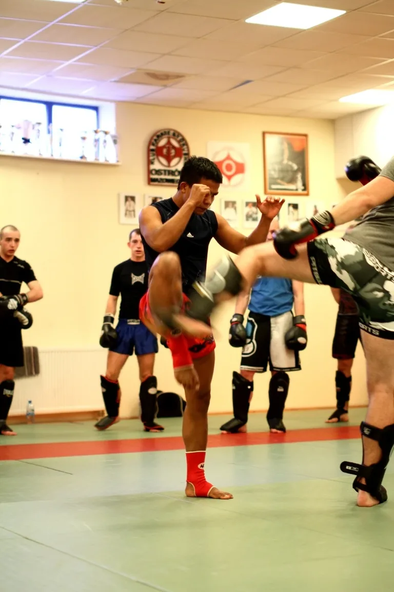 Warsztaty z muay thai w Ostrowi (zdjęcia)