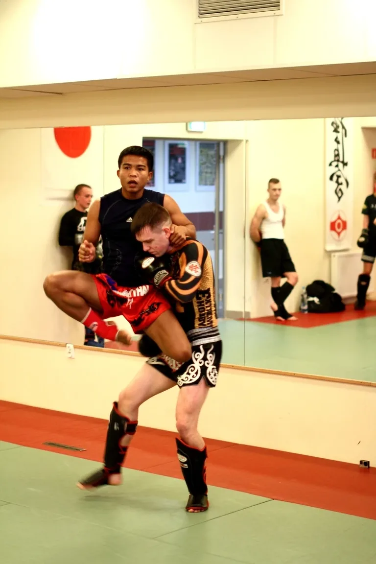 Warsztaty z muay thai w Ostrowi (zdjęcia)