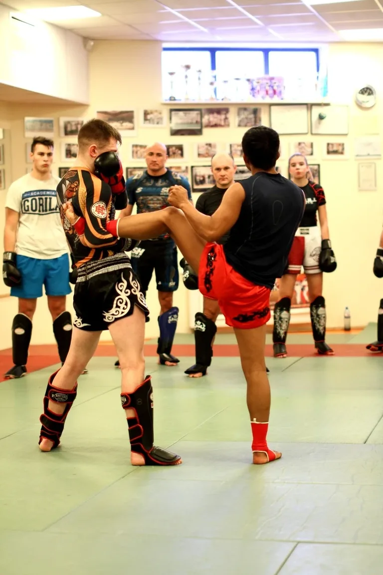 Warsztaty z muay thai w Ostrowi (zdjęcia)