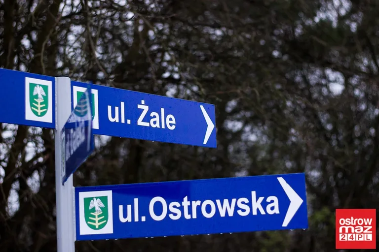 Skrzynka skarg: fatalny stan ul. Żale (zdjęcia)