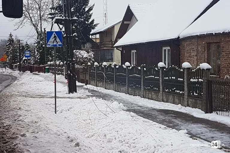 Ponad 40 interwencji ostrowskich strażaków. Powalone drzewa i zerwane linie energetyczne (zdjęcia)