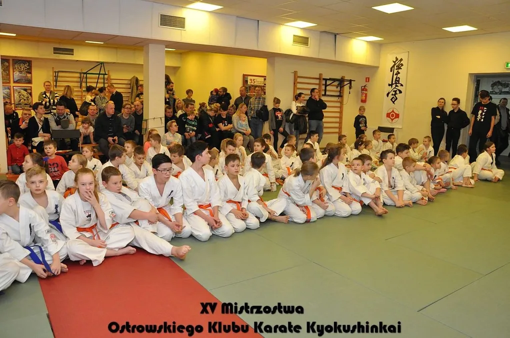 Mistrzostwa ostrowskich karateków (zdjęcia)