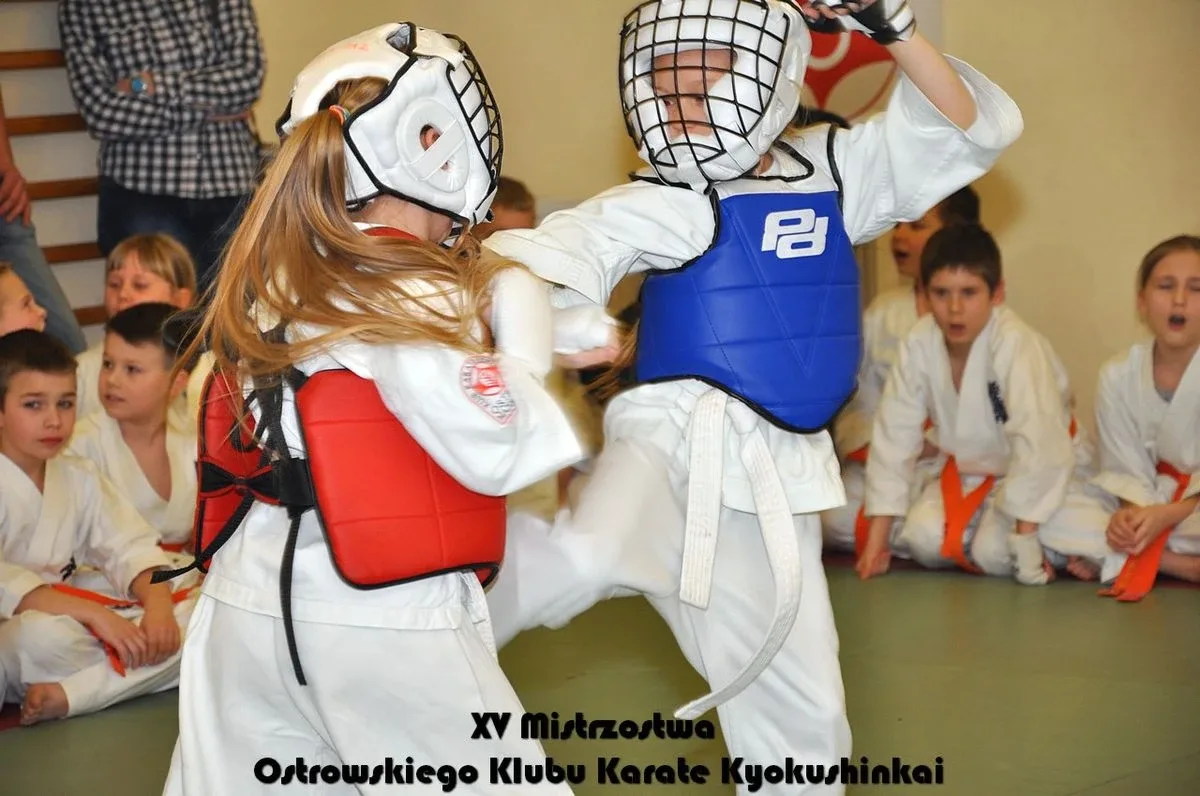 Mistrzostwa ostrowskich karateków (zdjęcia)