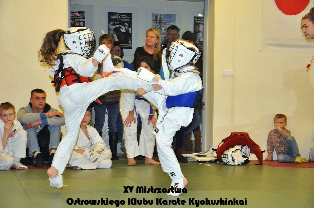 Mistrzostwa ostrowskich karateków (zdjęcia)