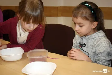 Następne zdjęcie