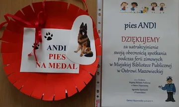 Następne zdjęcie