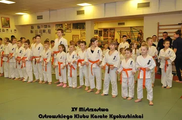 Mistrzostwa ostrowskich karateków (zdjęcia)