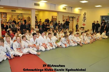 Mistrzostwa ostrowskich karateków (zdjęcia)