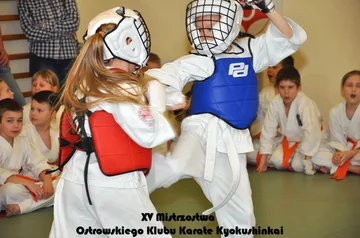 Poprzednie zdjęcie