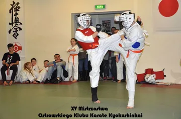 Poprzednie zdjęcie