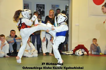 Poprzednie zdjęcie