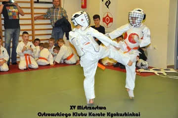 Poprzednie zdjęcie