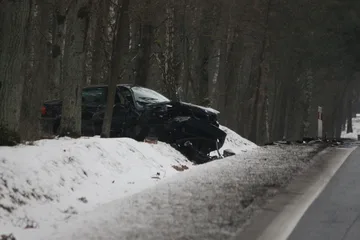 Następne zdjęcie