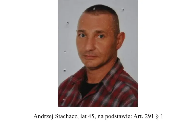 Poszukiwani przez ostrowską policję (zdjęcia)