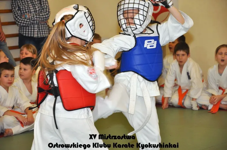 Mistrzostwa ostrowskich karateków (zdjęcia)