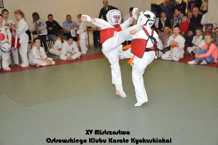 Mistrzostwa ostrowskich karateków (zdjęcia)