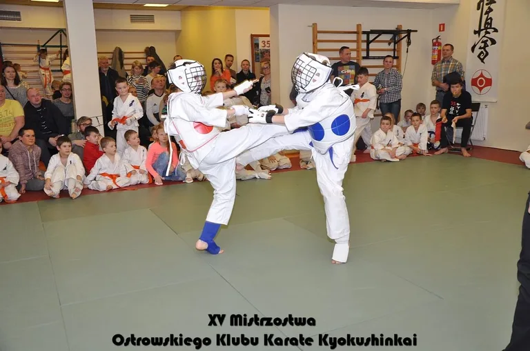 Mistrzostwa ostrowskich karateków (zdjęcia)