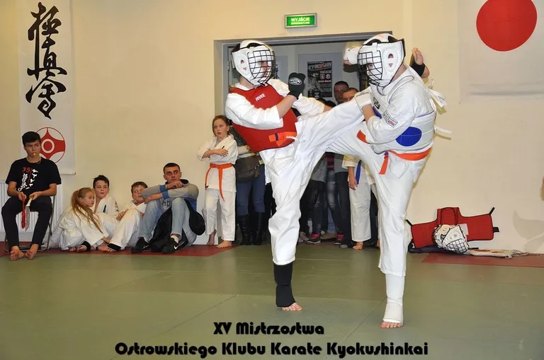 Mistrzostwa ostrowskich karateków (zdjęcia)