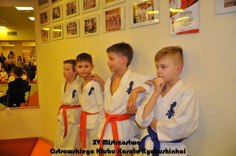 Mistrzostwa ostrowskich karateków (zdjęcia)