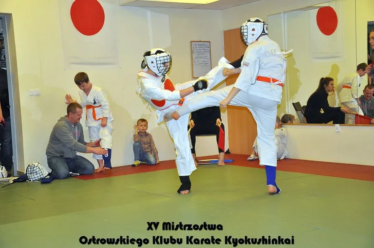 Mistrzostwa ostrowskich karateków (zdjęcia)