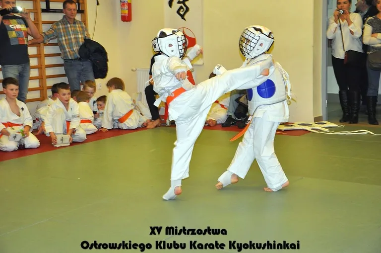 Mistrzostwa ostrowskich karateków (zdjęcia)