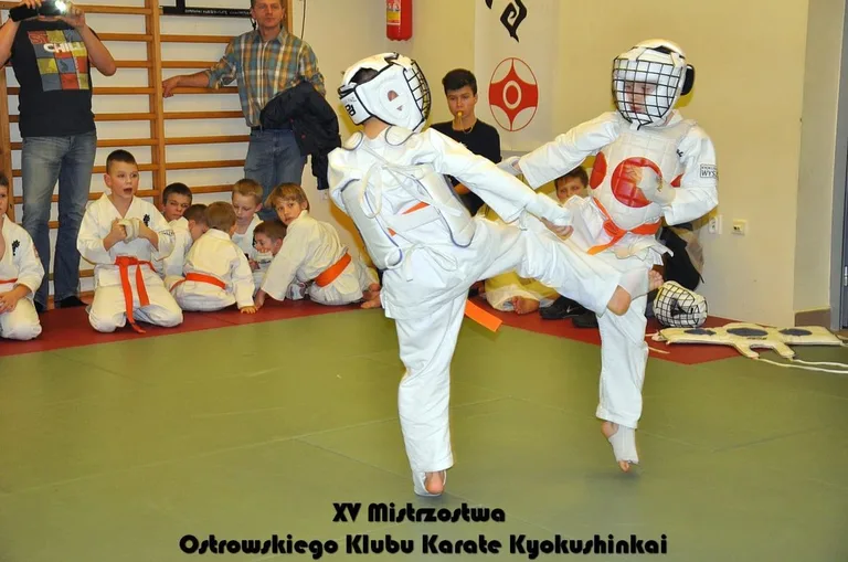 Mistrzostwa ostrowskich karateków (zdjęcia)
