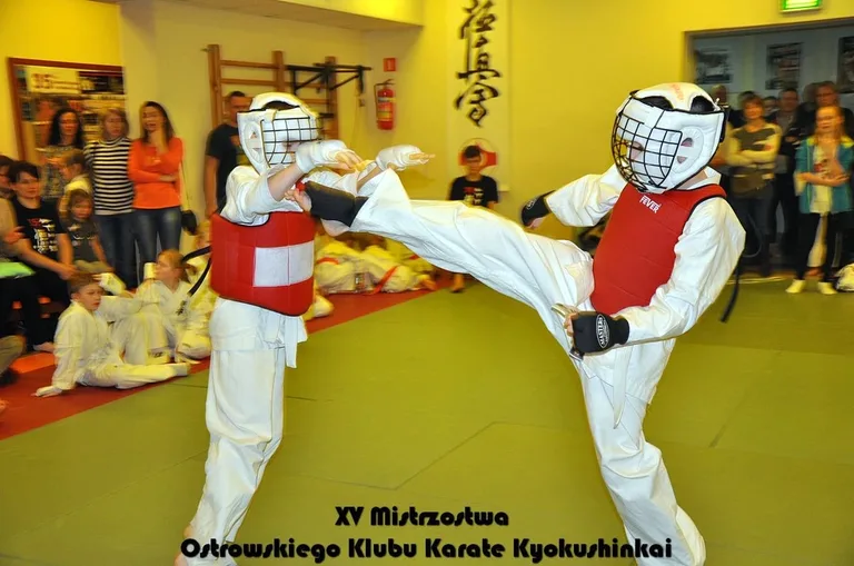 Mistrzostwa ostrowskich karateków (zdjęcia)