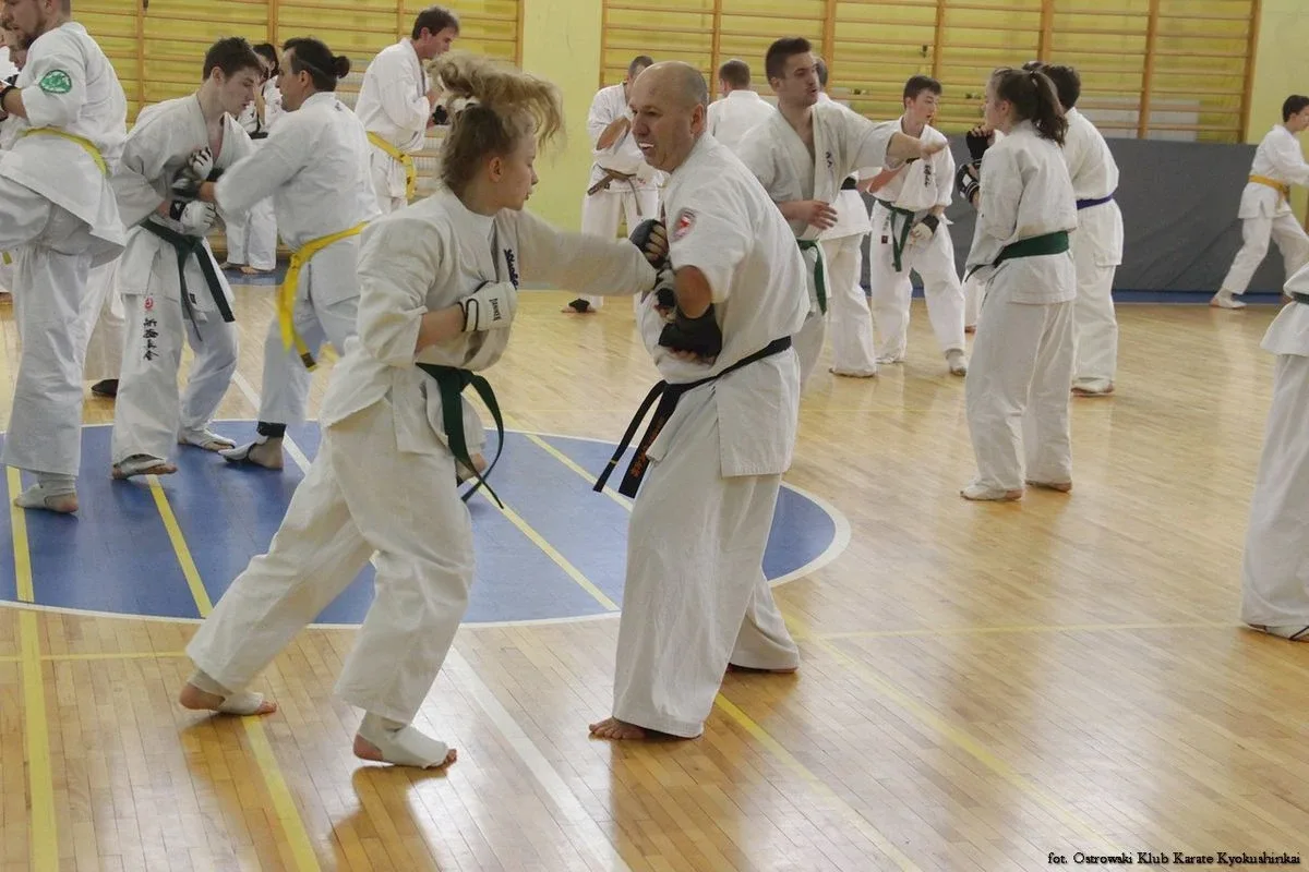 Przygotowania ostrowskich karateków do sezonu (zdjęcia)