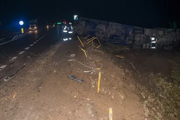 Poprzednie zdjęcie