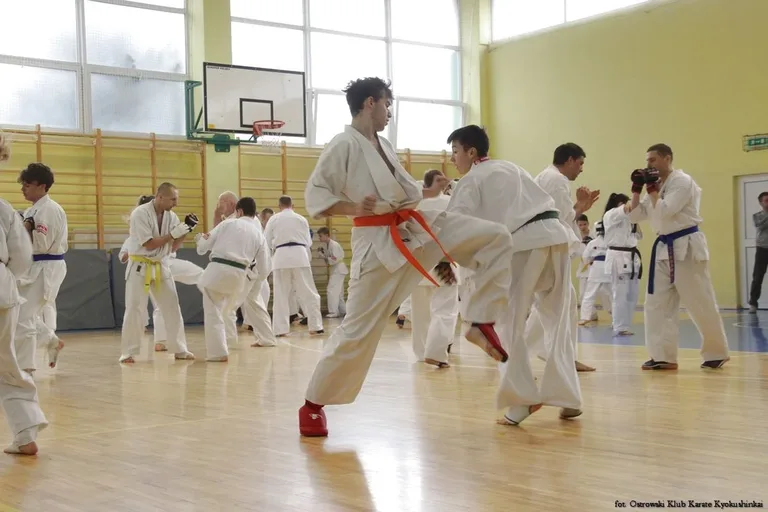 Przygotowania ostrowskich karateków do sezonu (zdjęcia)