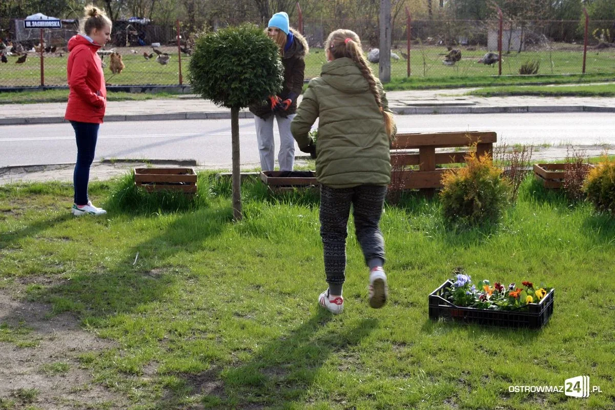 Porządki na "Skwerku obfitości" (zdjęcia)