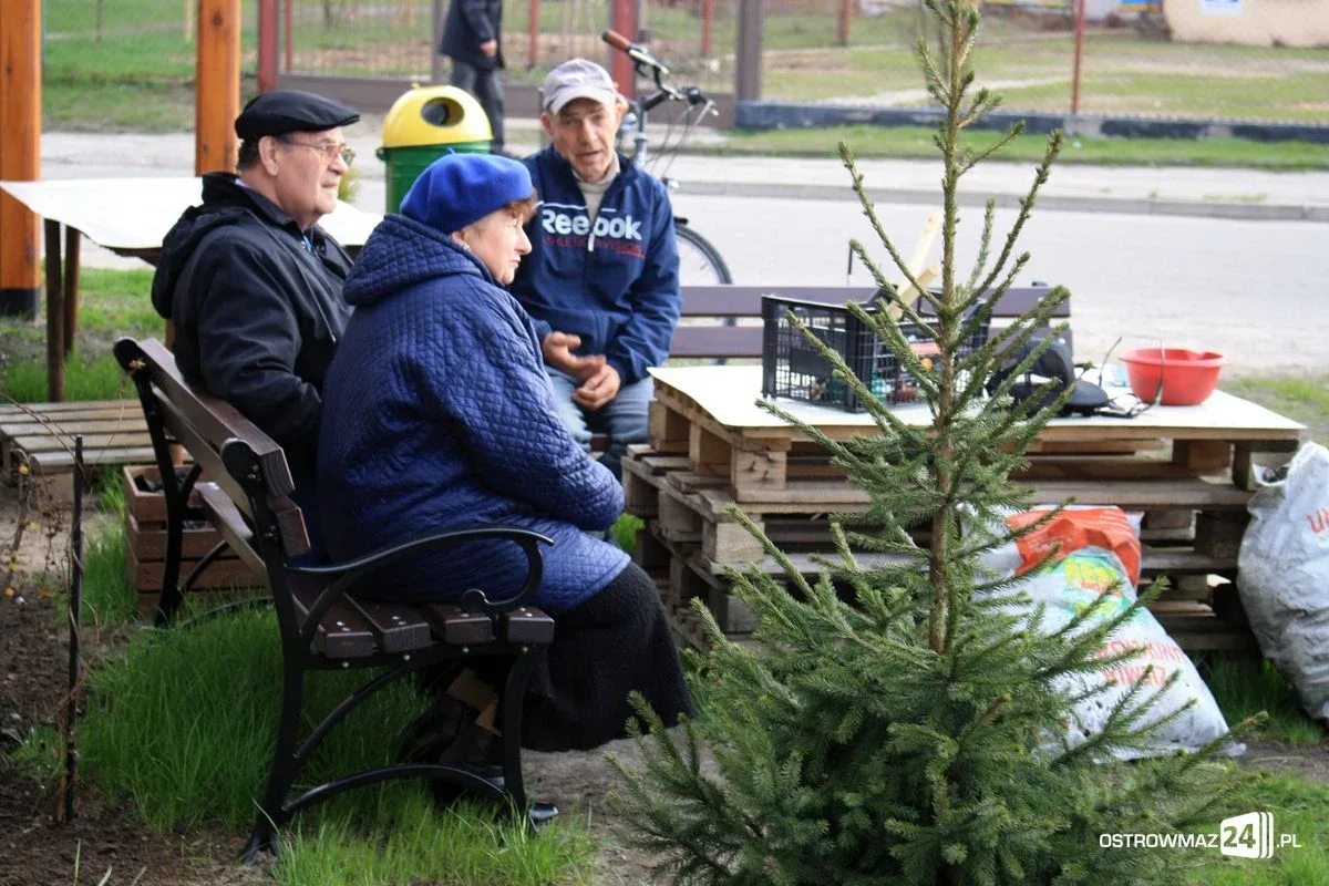 Porządki na "Skwerku obfitości" (zdjęcia)