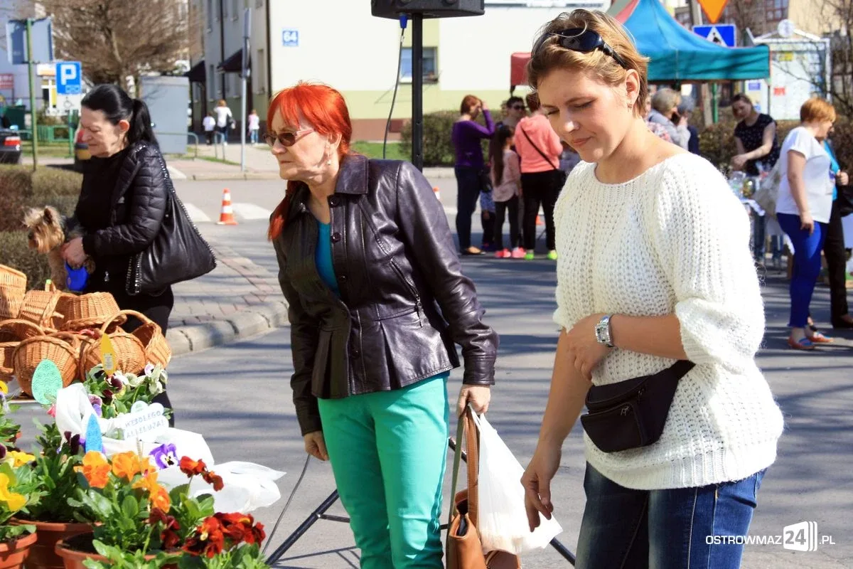 Jarmark Ostrowski wypełnił plac przy ratuszu (zdjęcia)