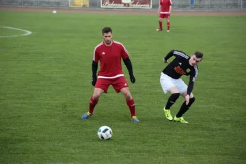 Następne zdjęcie