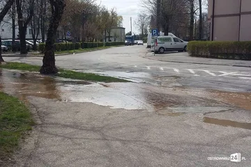 Poprzednie zdjęcie