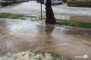 Poprzednie zdjęcie