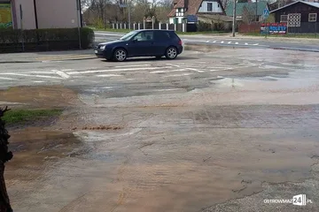 Poprzednie zdjęcie