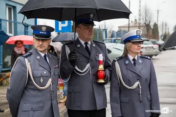 Następne zdjęcie