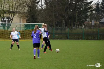 Poprzednie zdjęcie