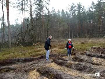 Poprzednie zdjęcie
