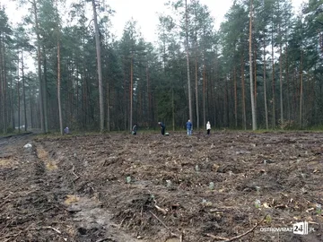 Następne zdjęcie