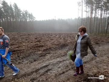 Następne zdjęcie