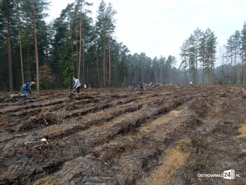 Poprzednie zdjęcie